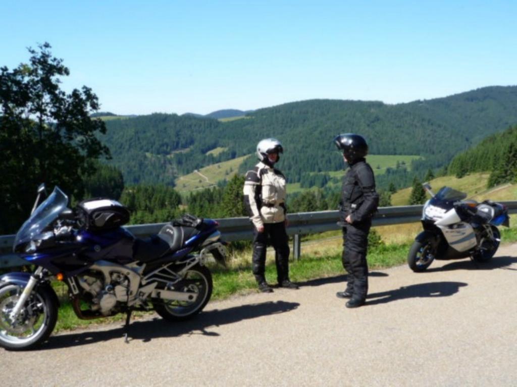 Appartamento Haus Am Kreuzbuehl Dachsberg im Schwarzwald Esterno foto