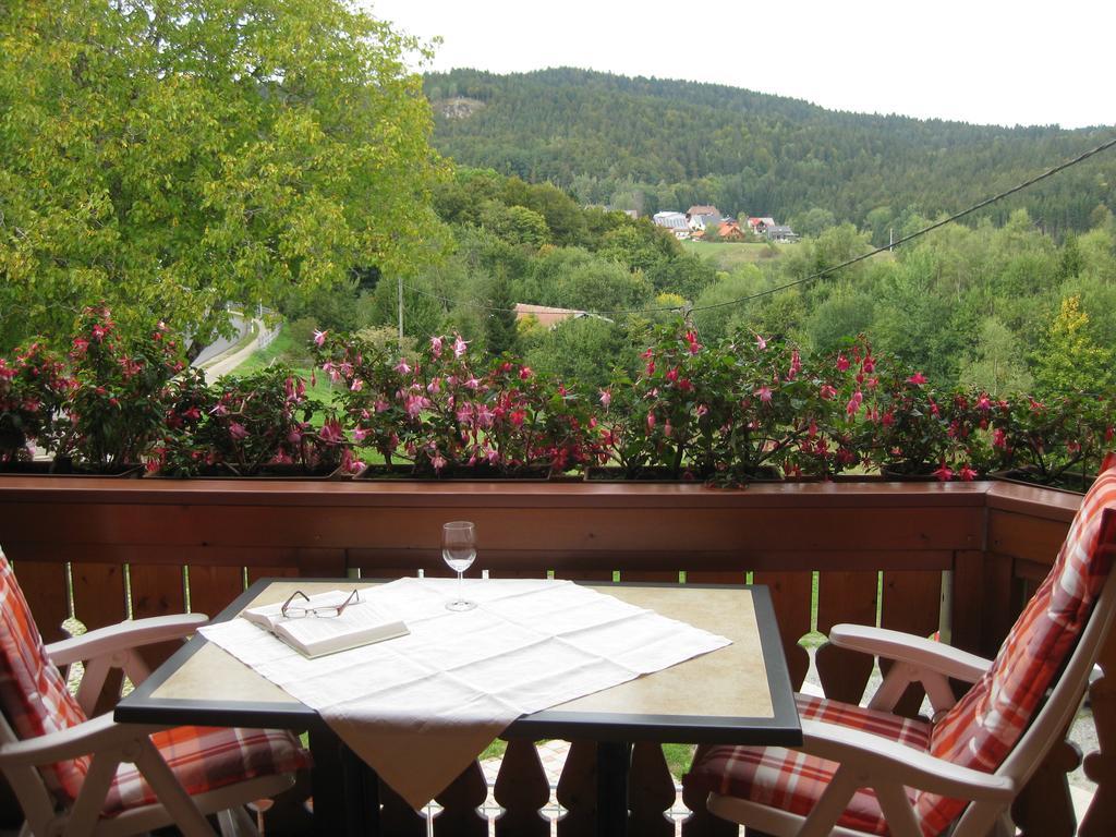 Appartamento Haus Am Kreuzbuehl Dachsberg im Schwarzwald Esterno foto