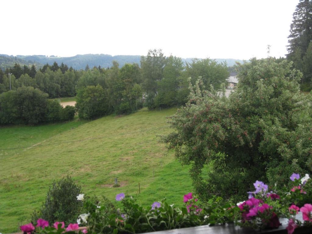 Appartamento Haus Am Kreuzbuehl Dachsberg im Schwarzwald Esterno foto
