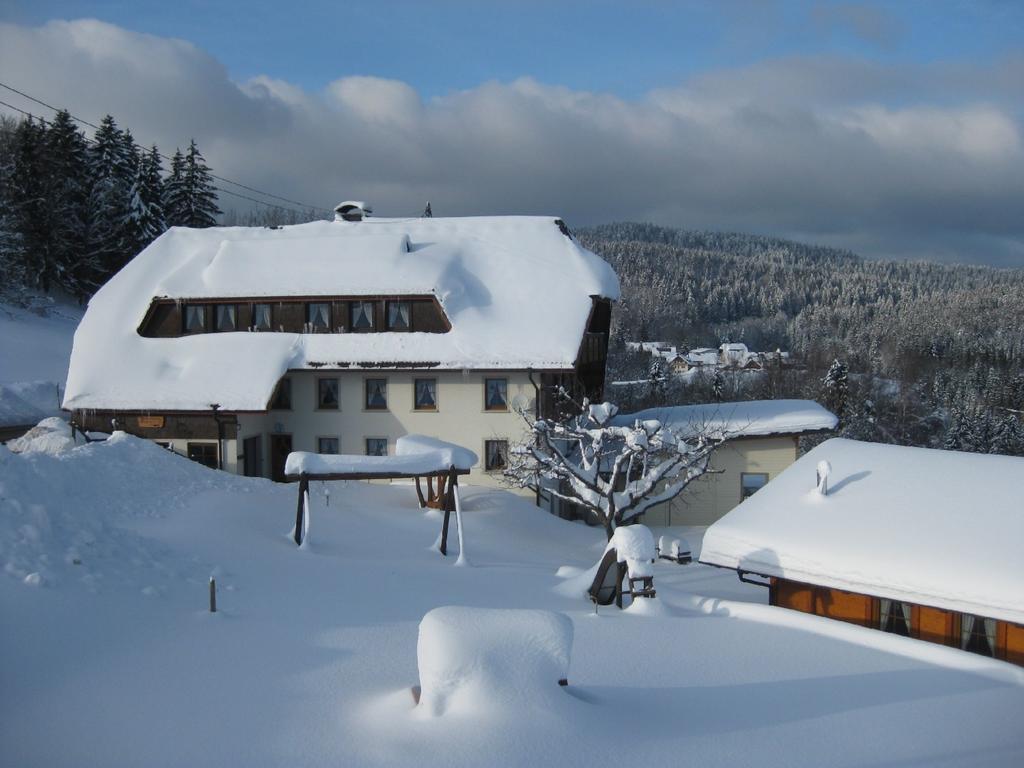 Appartamento Haus Am Kreuzbuehl Dachsberg im Schwarzwald Esterno foto