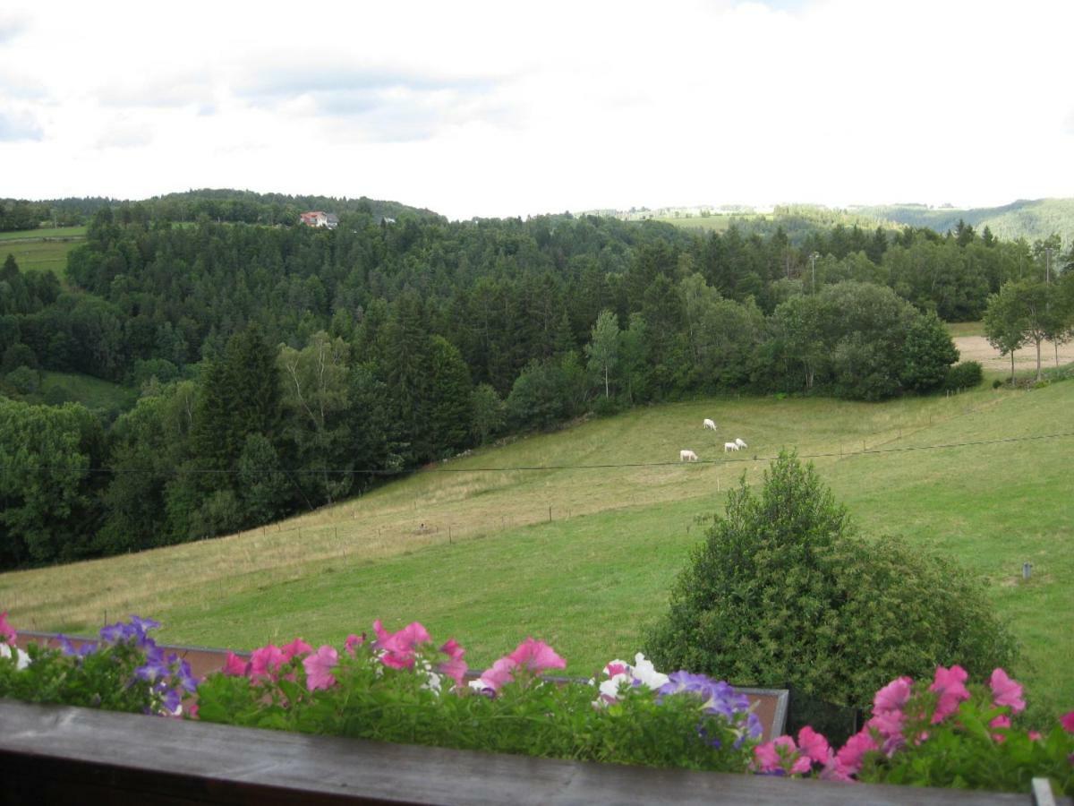 Appartamento Haus Am Kreuzbuehl Dachsberg im Schwarzwald Esterno foto