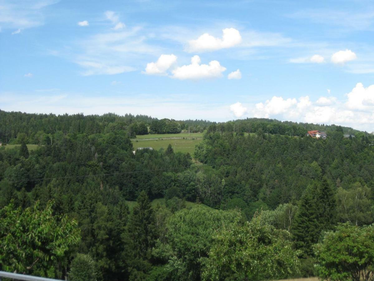 Appartamento Haus Am Kreuzbuehl Dachsberg im Schwarzwald Esterno foto